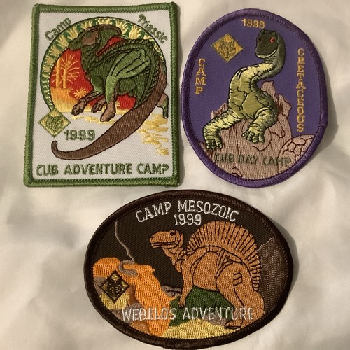 Boy cub scout - boy,